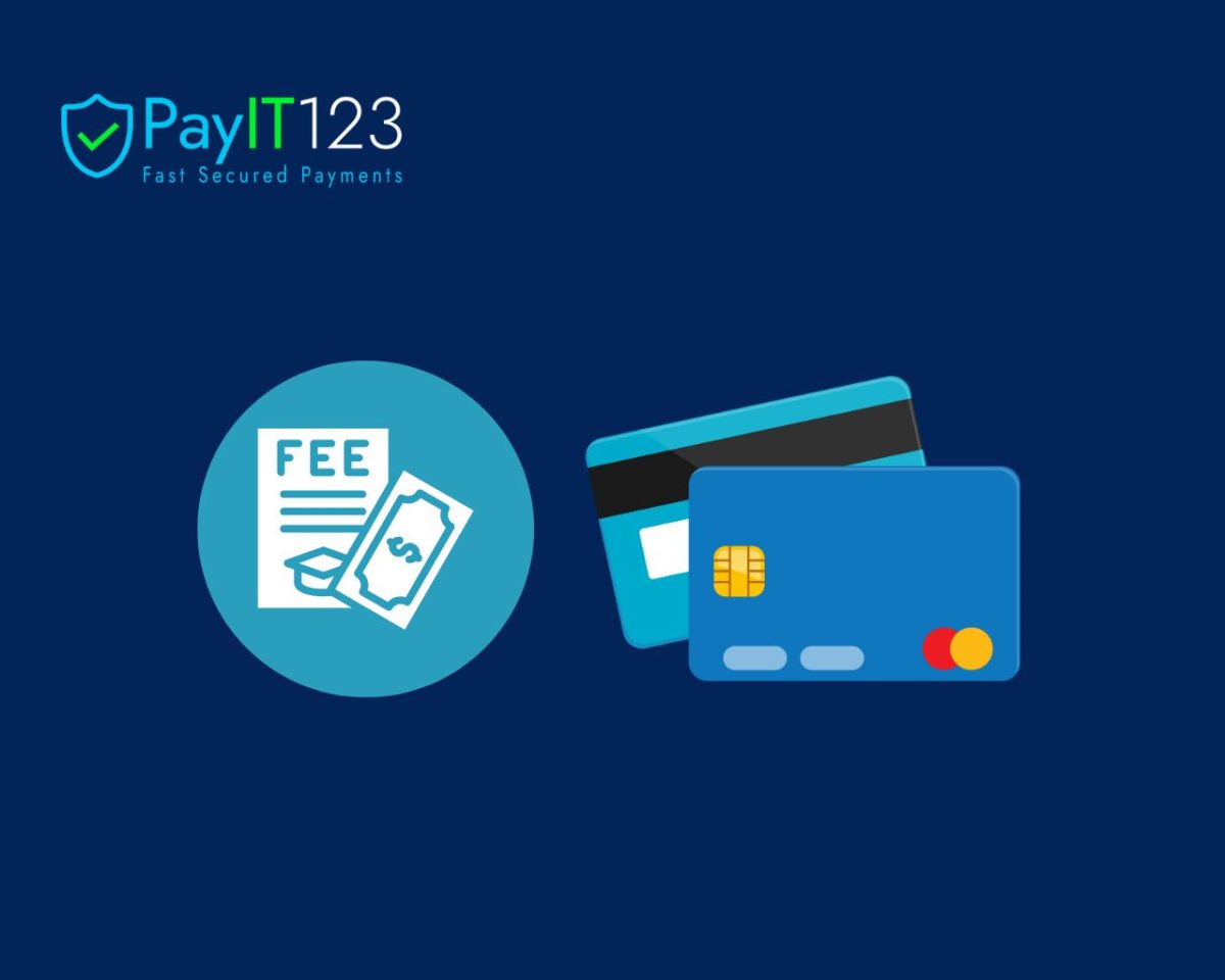Understanding Interchange Fees and Their Impact on Card Issuers: A Closer Look at Payit123